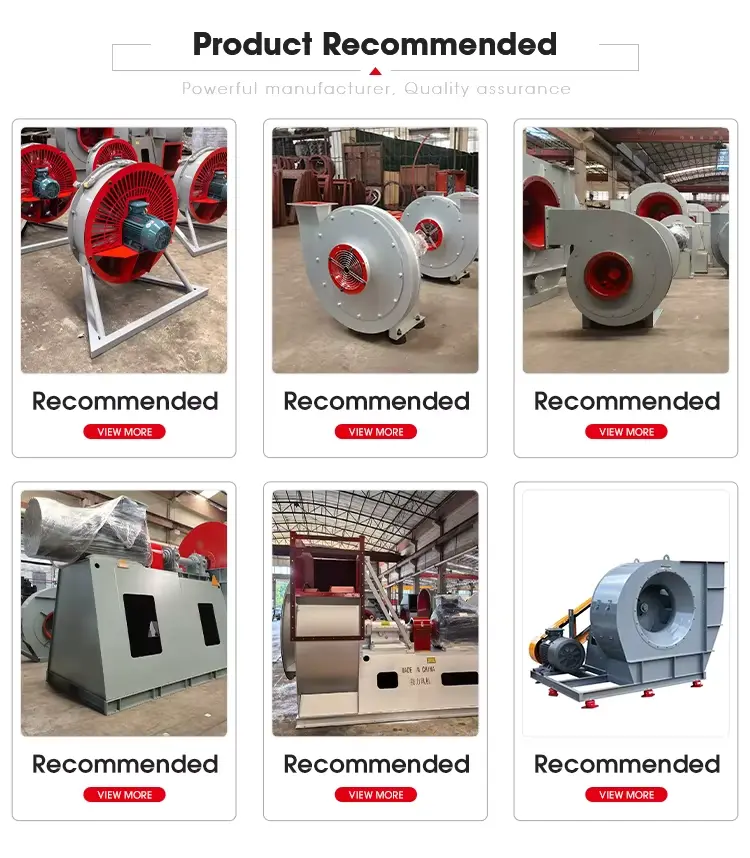 Non Standard Carbon Steel Centrifugal Fan